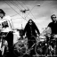 Spiderbait