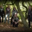 Cult of the Fox