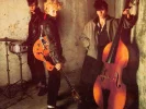 Stray Cats