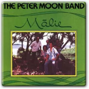 The Peter Moon Band