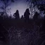 Tribulation Tribulation
