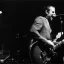 Ted Leo and the Pharmacists