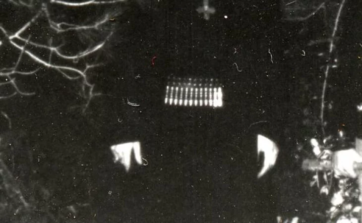 Mütiilation