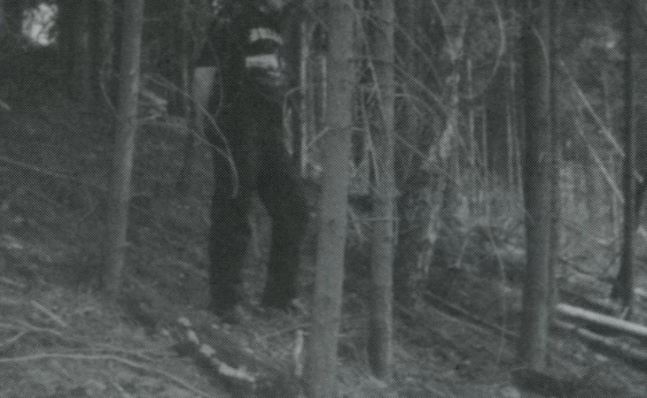 Bilskirnir