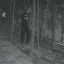 Bilskirnir Bilskirnir