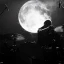 Ulver