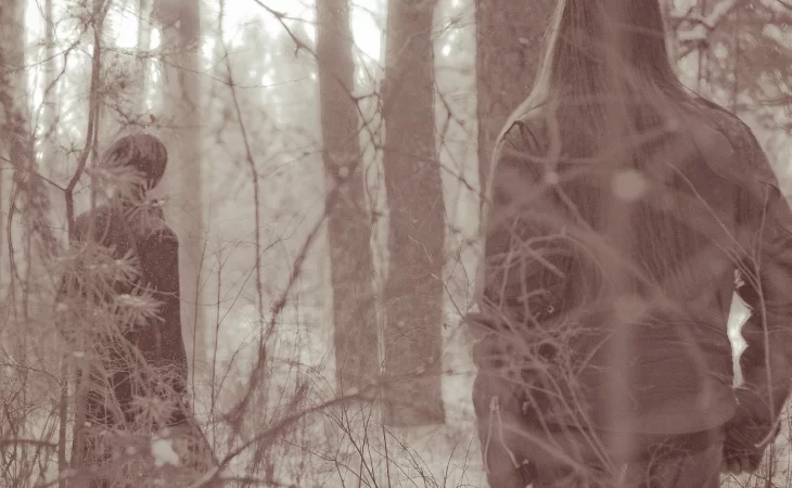 Frozenwoods