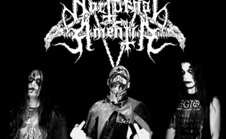 Nocturnal Amentia