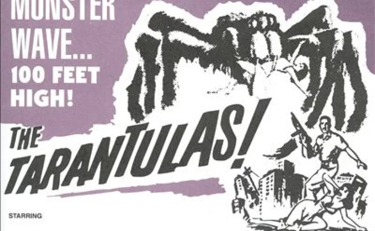 The Tarantulas