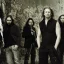Nocturnal Rites