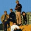 The Electric Prunes