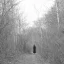 Marissa Nadler