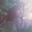 Amy Millan