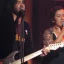 Vika Bull