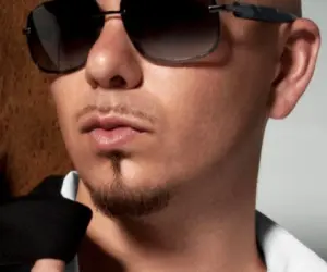 Pitbull Pitbull