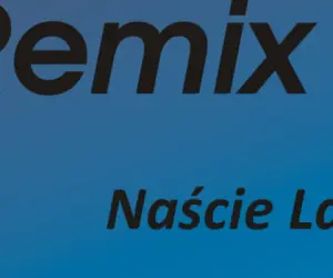 Remix Remix