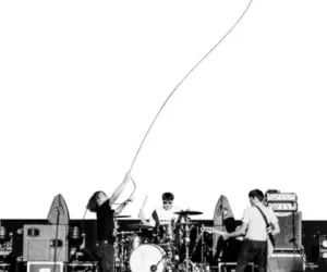 The Pigeons