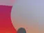 Little Bushman