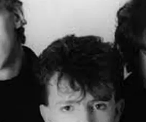 The Icicle Works The Icicle Works
